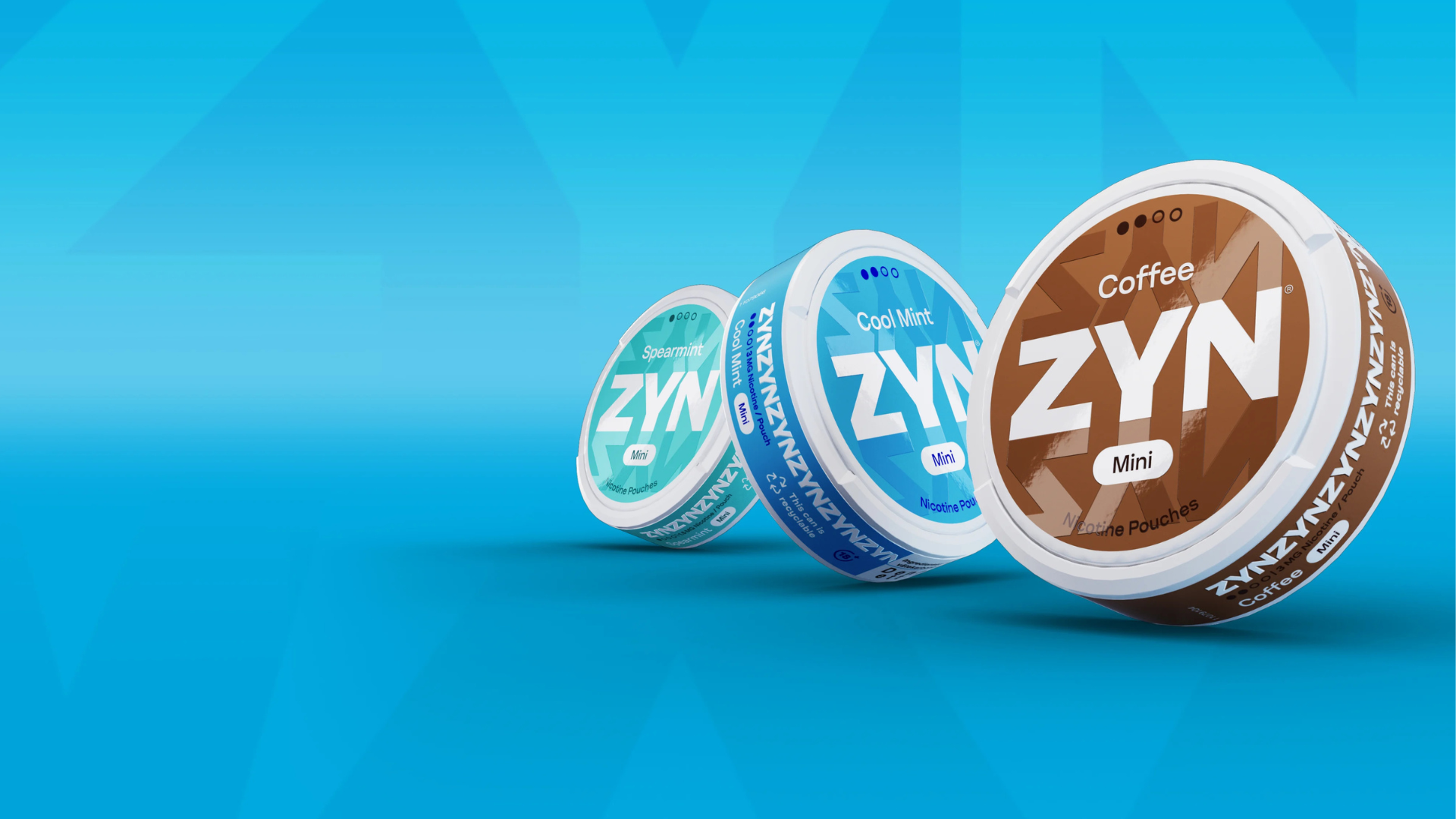 ZYN Wholesale Guide: Global Supply Chain for Resellers