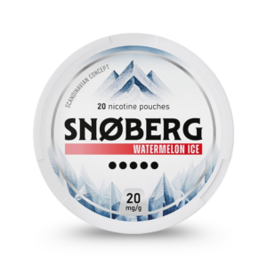 SNØBERG Watermelon Ice (10 mg/pouch)